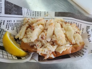 Bold Lobster Coast