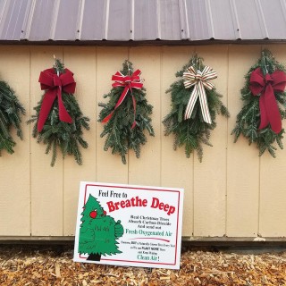 Rocking Horse Farm