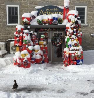 Skaneateles Artisans