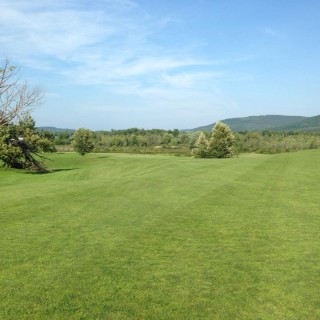 Hill N Dale