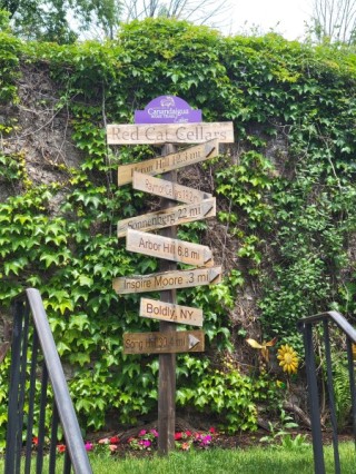 Pizzo's Bare Grapes Wine Tours