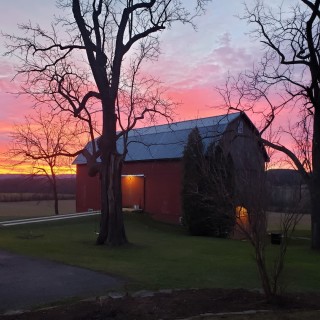 Mandana Barn