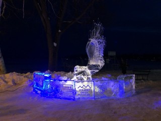 Skaneateles Winterfest