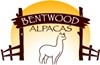 273_bentwoodalpacas.jpg