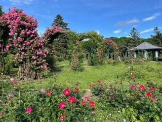 Thornden Park