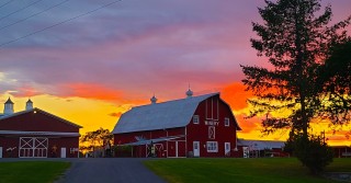 Thousands Islands Winery
