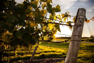 Seneca Lake Wine Trail