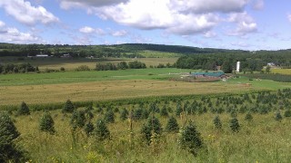 Springside Farm