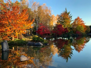 Fall Color at Sycamore Hill Gardens