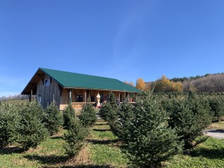 Springside Farm