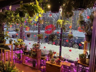 Westcott Florist