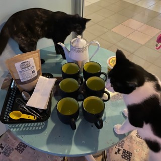Pawsitivitea CNY
