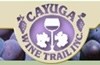 369_cayugalakewinetrail.jpg