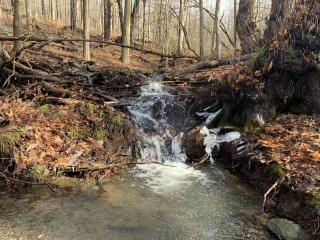 Nature with Nikki
