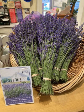 Lavender for sale