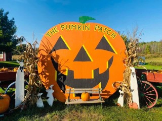 Cicero Pumkin Patch