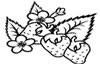 5494_hencles-berry-patch.jpg