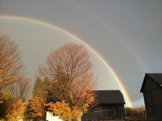 Our Farm