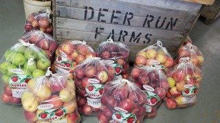 Deer Run Farm Orchard