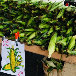 Corn