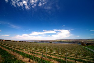 Seneca Lake Wine Trail