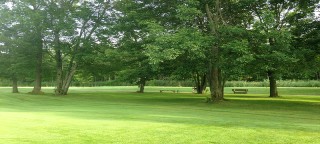 Arrowhead