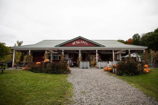 O'Neill's Orchard