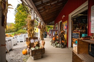 O'Neill's Orchard