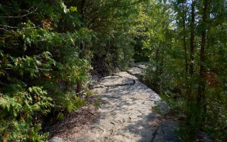 Clark Reservation State Park