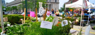 Downtown Farmers Market