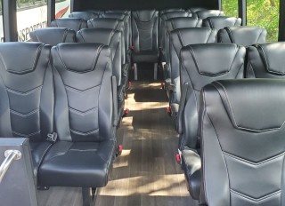 hale transportation