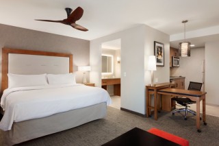1 King Bed Studio Suite