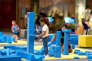 BUILD & PLAY exhibits