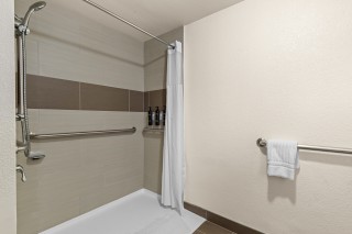 Handicap Bathroom