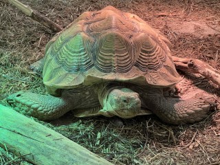 Little Ray's Nature Center