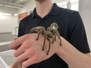 Little Ray's Nature Center