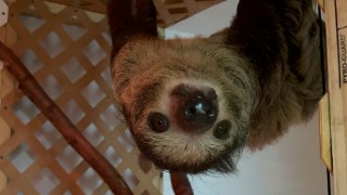 Little Ray's Nature Center