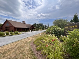 Anyela's Vineyards