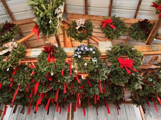 The Ice Farm & Christmas Tree Farm