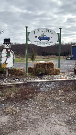 The Ice Farm & Christmas Tree Farm