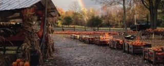 Pumpkin Hollow