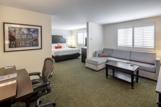 Scholar Suite