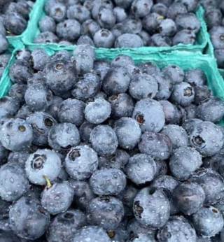 Blueberries