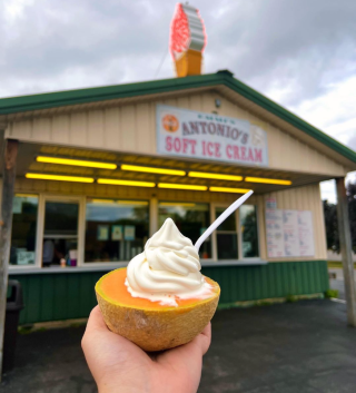 Emmi's Antonio Ice Cream