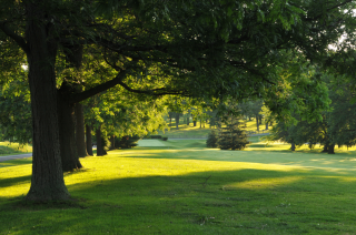 Skaneateles County Club Golf