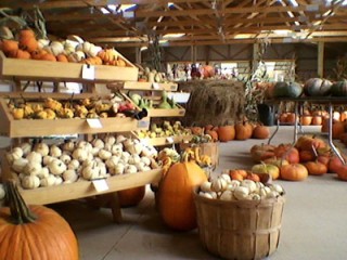 Springside Farm