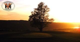 Vesper Hills