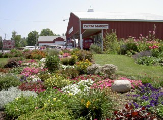 Vollmer Farms