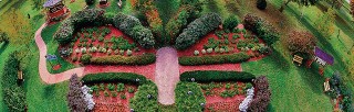 Butterfly Garden of Hope