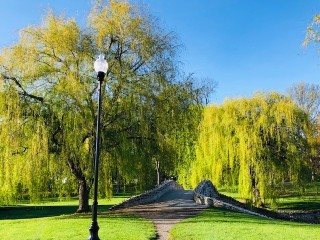 Onondaga Park Bridge